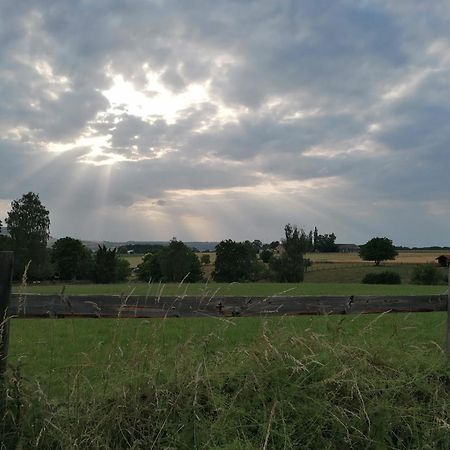 Ferienwohnung Am Reinhardswald -Buchenzweig- Trendelburg Bagian luar foto